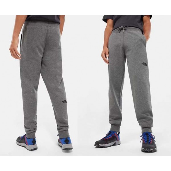 THE NORTH FACE M NSE TROUSERS