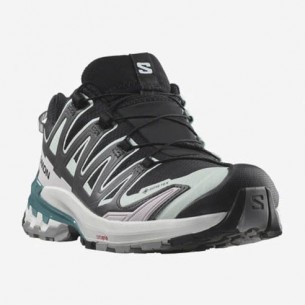 Chaussures Trail Femme Salomon XA PRO 3D V9 GTX