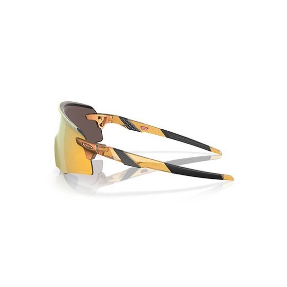 Oakley Encoder Discover Collection Glasses