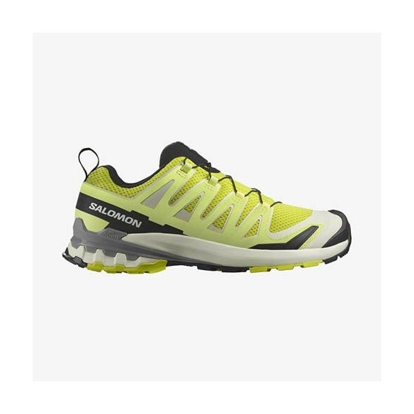 Chaussures Trail Salomon XA PRO 3D V9 Trail