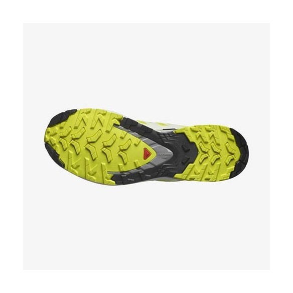 Chaussures Trail Salomon XA PRO 3D V9 Trail