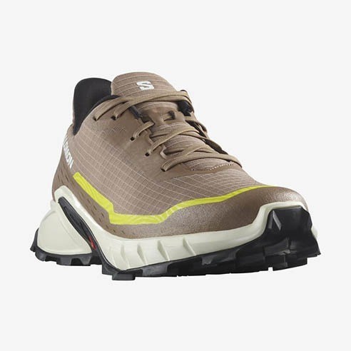 Chaussures Salomon Alphacross 5 Trail