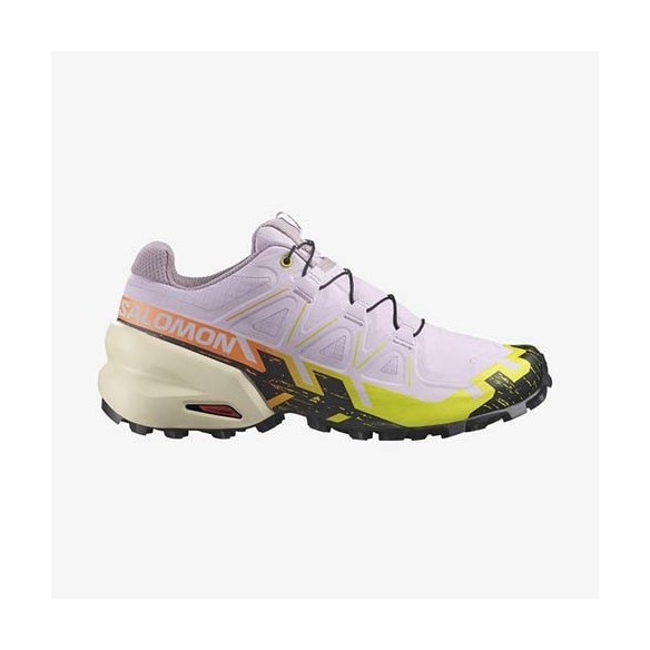 Chaussures Femmes Salomon Speedcross 6