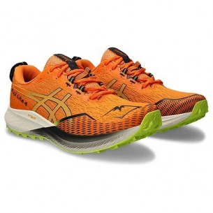 Chaussures Trail Asics Fujilite 4