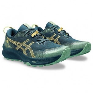 Chaussures Trail Asics Gel-Trabuco 12