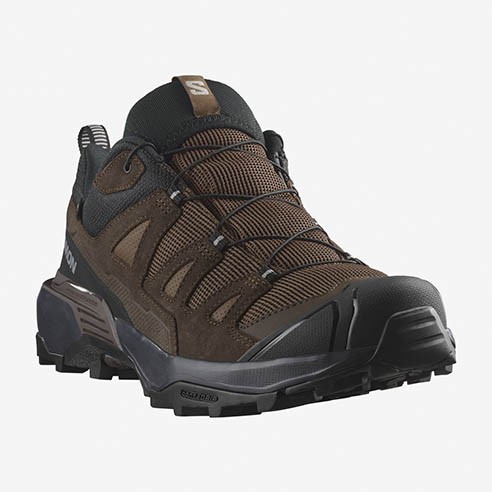 Chaussures Trekking Salomon X Ultra 360 Leather GTX