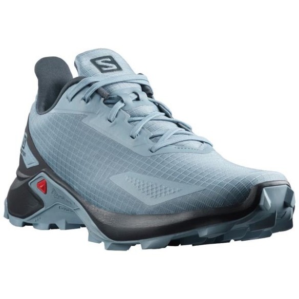 Chaussures Salomon Alphacross L411034